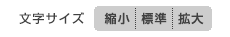 文字サイズの変更